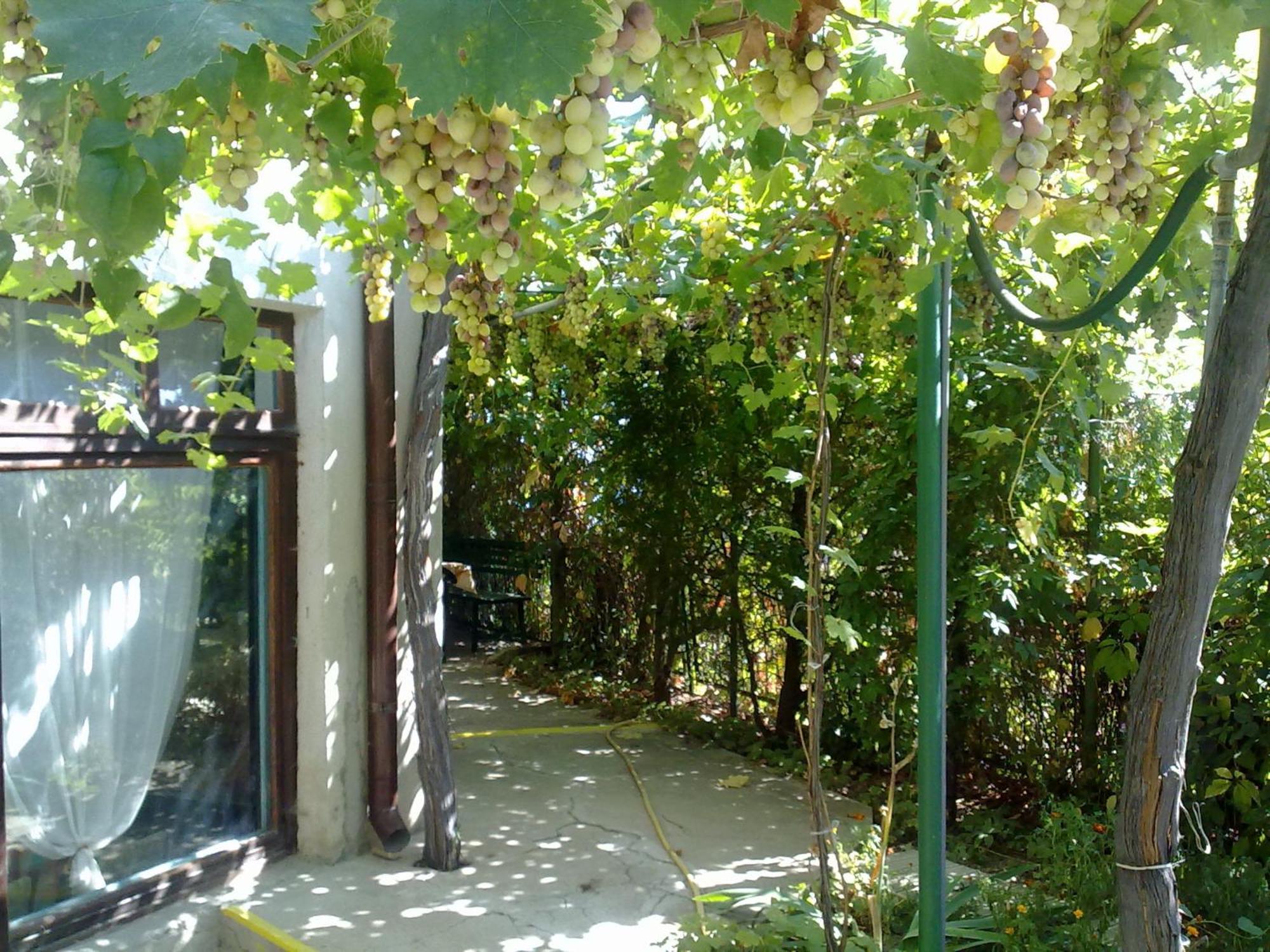 Villa Elfi Golden Sands Exterior photo