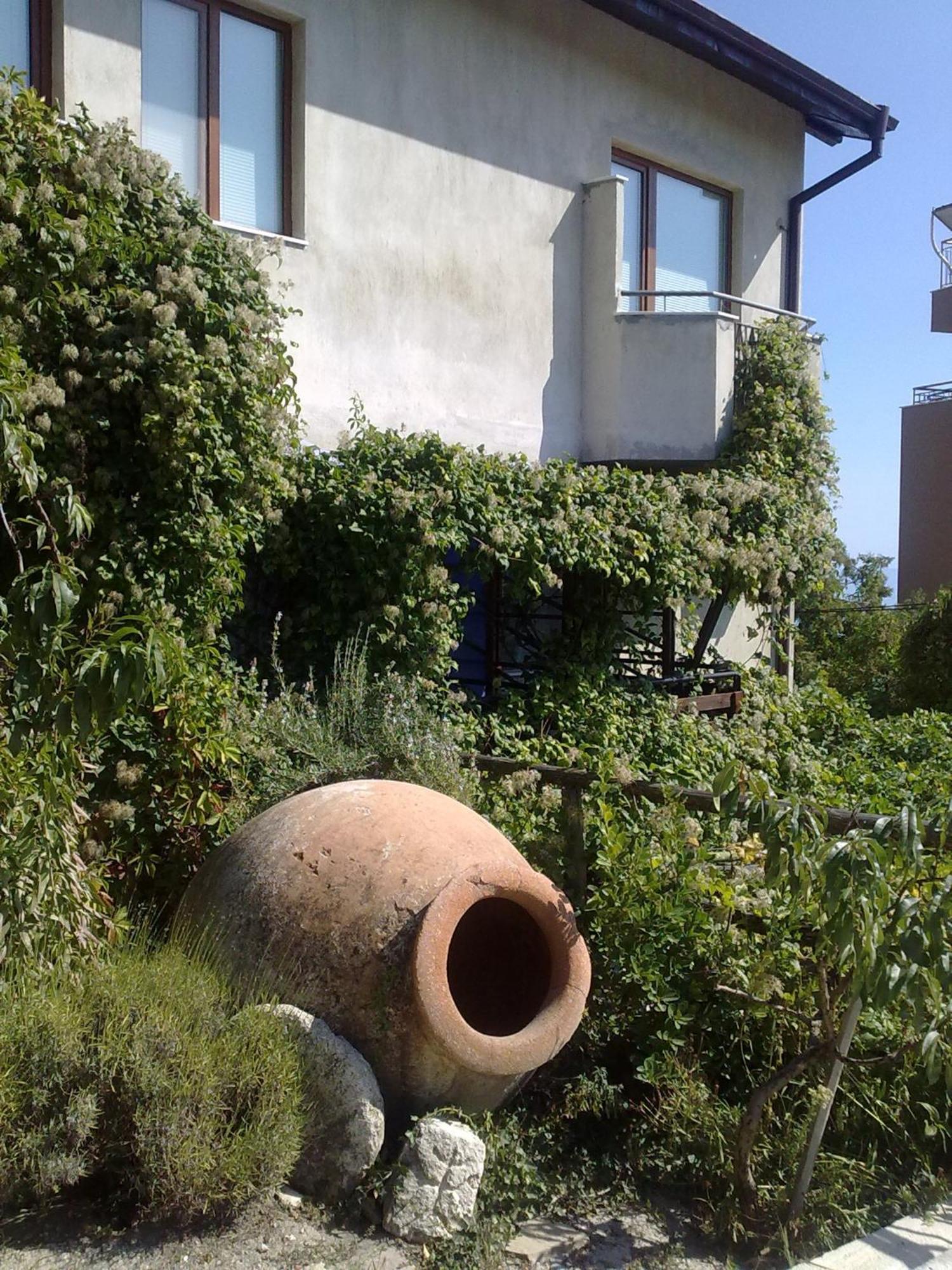 Villa Elfi Golden Sands Exterior photo